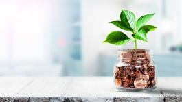 coins in jar with plant